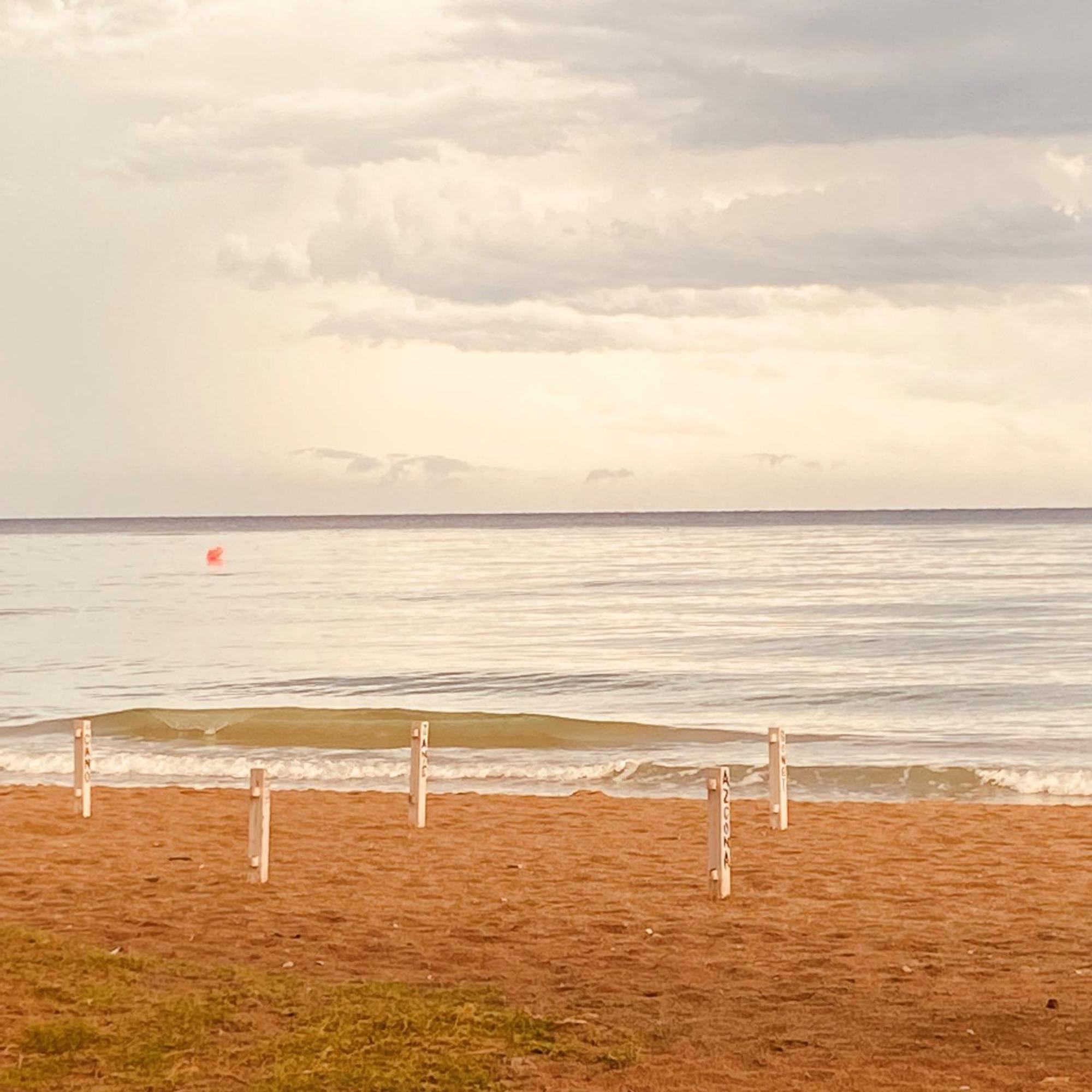 Acogedor Y Amplio Apartamento Familiar A Pie De Playa กาลาเฟลล์ ภายนอก รูปภาพ